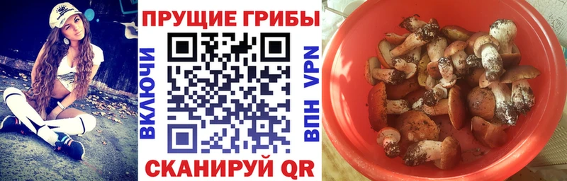 Псилоцибиновые грибы GOLDEN TEACHER Холмск
